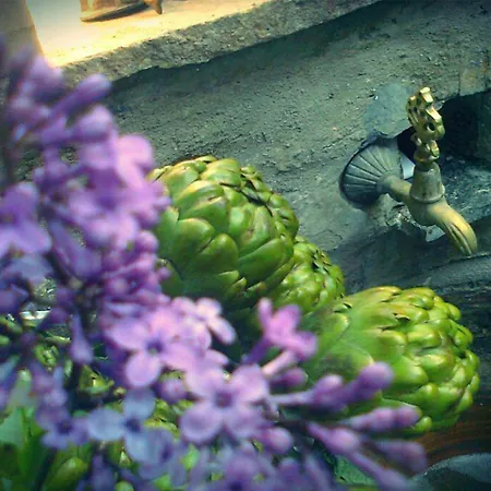 Selanik מלון Sirince