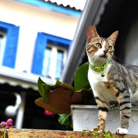 Selanik מלון Sirince