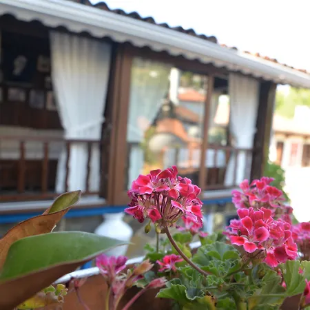 Selanik Hotel Sirince