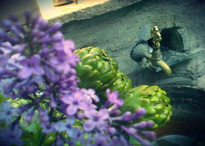 Selanik Hotel Sirince