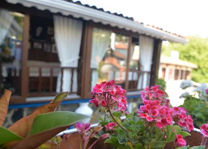 Selanik Hotel Sirince